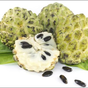 Custard Apple Processing