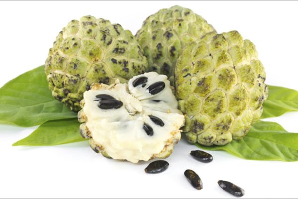 Custard Apple Processing